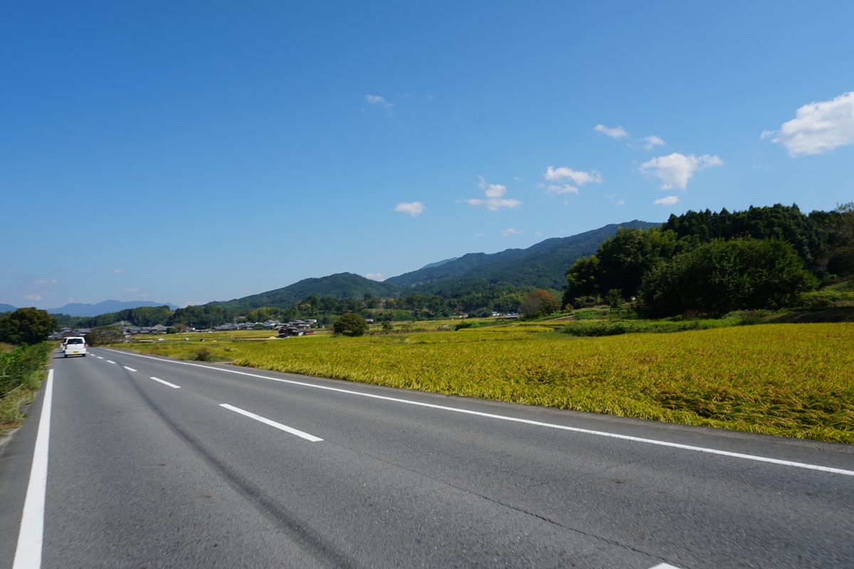 明日香村ののどかな道