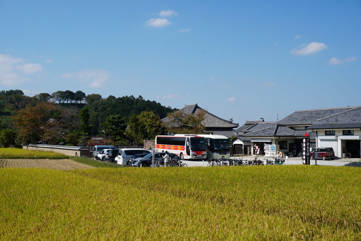黄金色の田んぼと明日香村の町並み