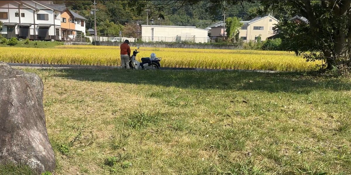 乙巳の変の舞台とされる飛鳥宮跡周辺の風景