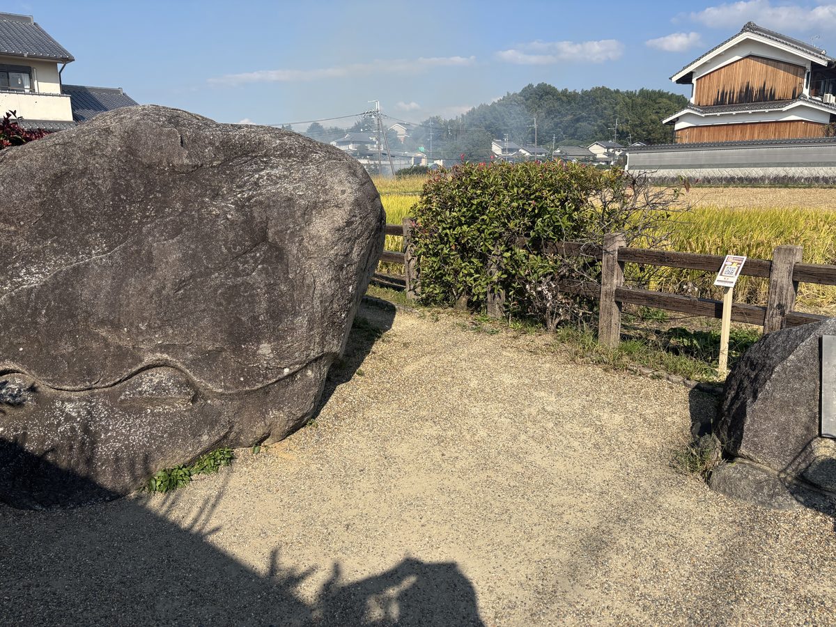 明日香村の亀石