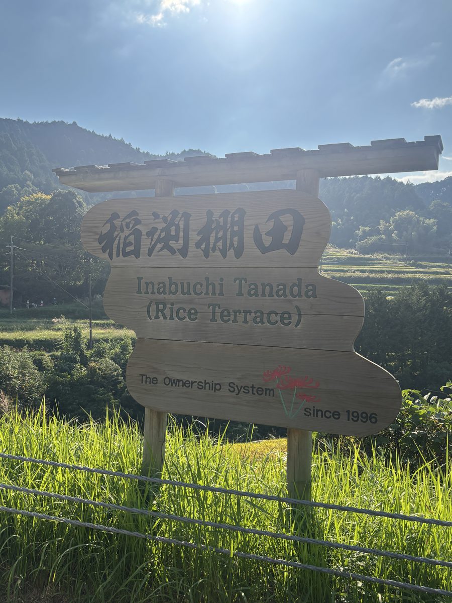 稲渕棚田の看板